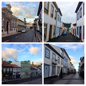 IMG_5330-COLLAGE.jpg