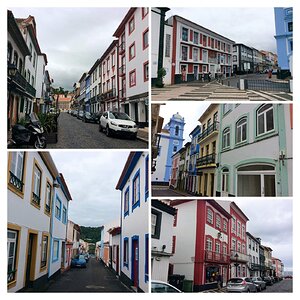 IMG_5421-COLLAGE.jpg