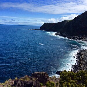 IMG_4902(1).jpg
