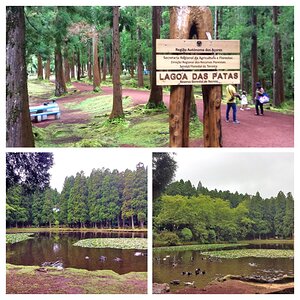 IMG_4769-COLLAGE.jpg