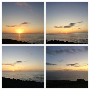 IMG_4813-COLLAGE.jpg