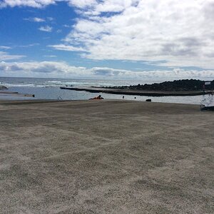 IMG_5203(1).jpg