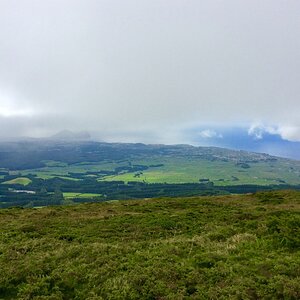 IMG_4867(1).jpg