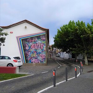 IMG_5081(1).jpg