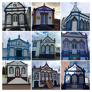 IMG_5036-COLLAGE.jpg