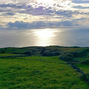 IMG_4603(1).jpg
