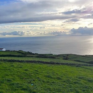 IMG_4605(1).jpg