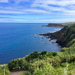 IMG_4890(1).jpg