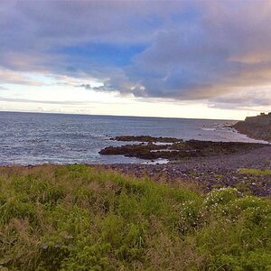 IMG_5035(1).jpg