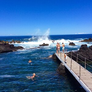 IMG_4938(1).jpg