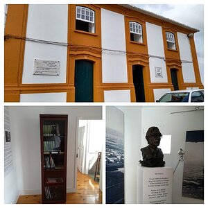 IMG_5107-COLLAGE.jpg