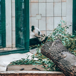 01012766_Easy-Resize.com.jpg