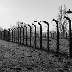 Polonia41 (portal).jpg
