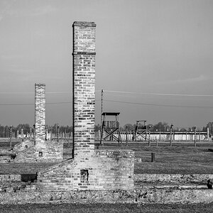 Polonia42 (portal).jpg