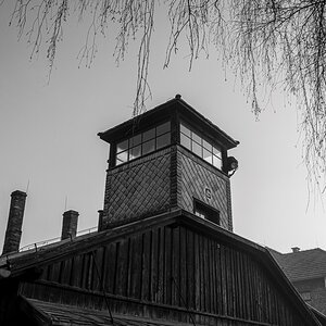 Polonia28 (portal).jpg