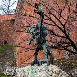 Polonia24 (portal).jpg