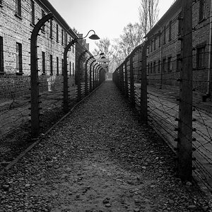 Polonia38 (portal).jpg