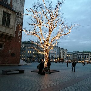 IMG_20200113_161122 (Portal).jpg