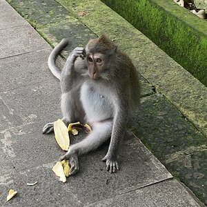IMG_4571.jpg