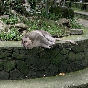 IMG_4575.JPG