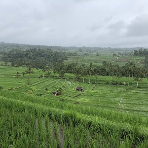 IMG_5717.JPG