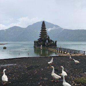 IMG_5751.JPG