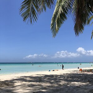 IMG_6576.JPG