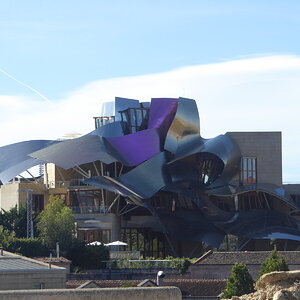 P1080002.JPG
