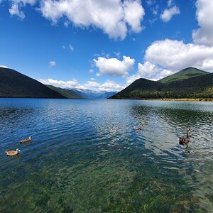 067.jpg