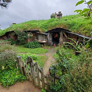 117.jpg