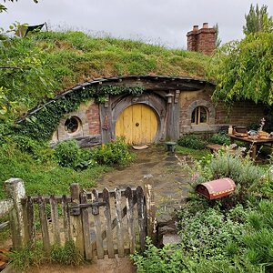 118.jpg