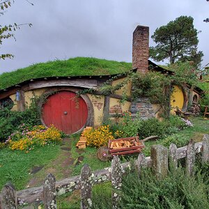 122.jpg