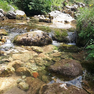 20200709_144912.jpg