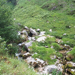 20200710_121124.jpg