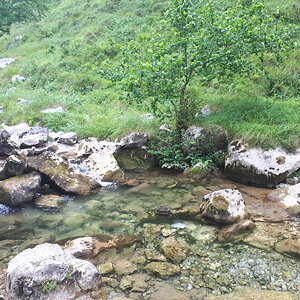 20200710_121306.jpg