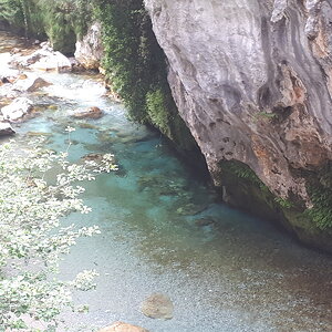 20200710_123156.jpg