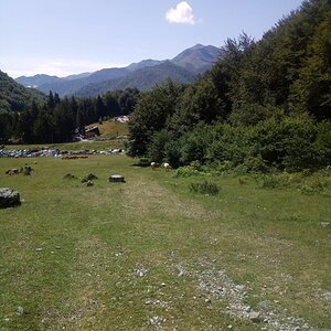 IMG-20200714-WA0027.jpg