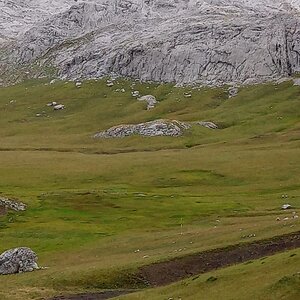 IMG-20200714-WA0106.jpg
