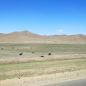 10 Mongólia.jpg
