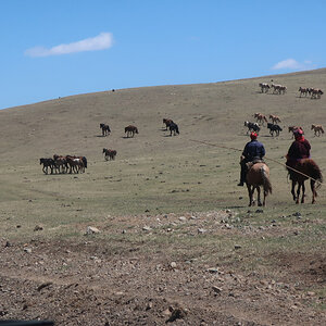 11 Mongólia.jpg
