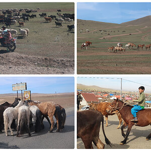 29 Mongólia.jpg
