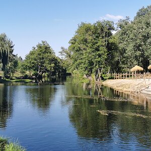 52 Rapoula do Côa.jpg