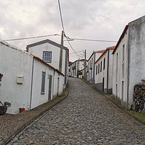 11 Flores.jpg