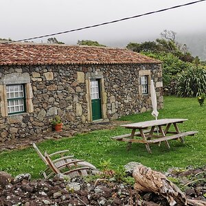 14b Flores.jpg