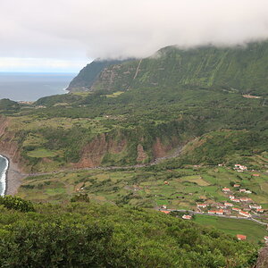 19 Flores.JPG