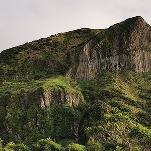 43 Flores.jpg