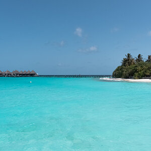 DSC_0511.jpg