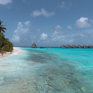 DSC_1242.jpg