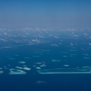 DSC_9442.jpg