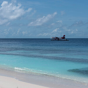 DSC_9669.jpg